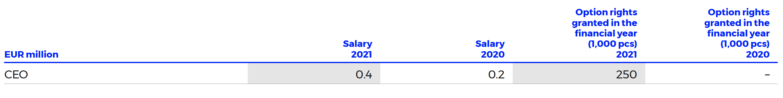 CEO Remuneration